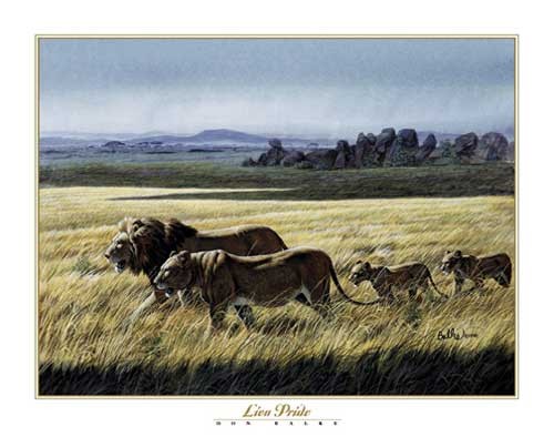 Löwen in der Savanne Kunstdruck 40x50 cm