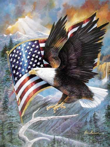 Poster 40x50 cm Seeadler und USA Fahne Manning 