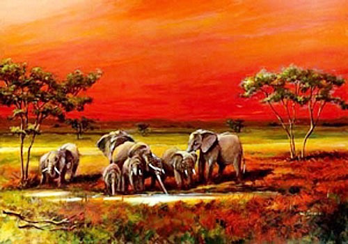 Poster 40x50 cm: Elefanten im Sonnenuntergang auf Rot schimmernder Wiese
