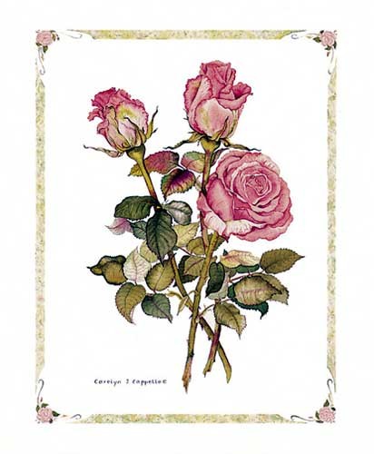 Pinke Rosen, Cappello - Kunstdruck 20x25