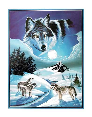 Wolfsrudel im Winter von Gray Ampel Poster 40x50 cm
