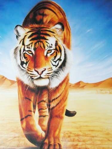 Tiger geht nach vorn Poster 40x50 cm 