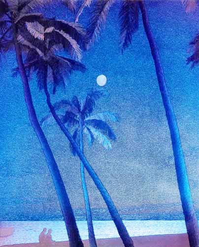 Midnight Palm Beach