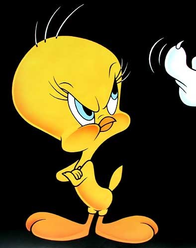 Poster 40x50 cm: Tweety Angry 
