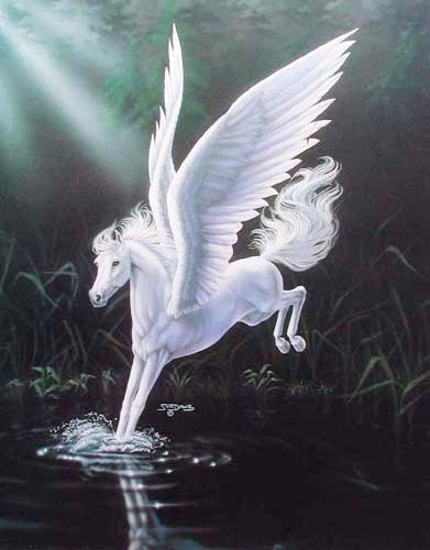 Pegasus im Wasser by Sue Dawe