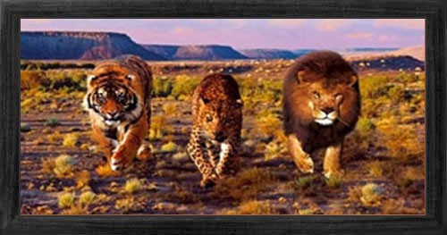 Tiger, Löwe und Leopard Wandbild 44x70 cm