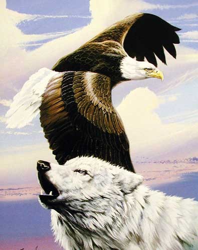 Poster: Vereinte Kräfte der Mythologie – Weißkopfseeadler und weißer Wolf von Gary Ampel