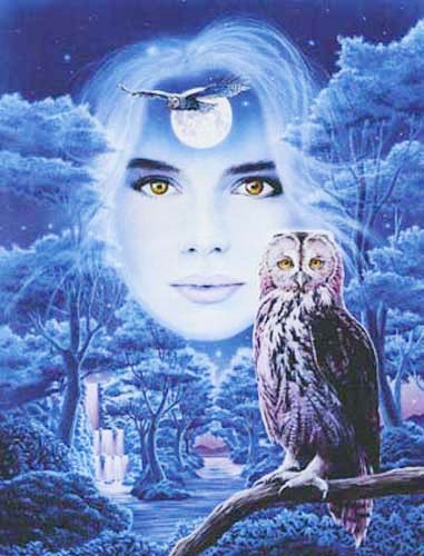 Eulen, Flight of the Owls by Meklejohn Graphics