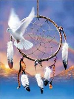 Dream Catcher “Dove” by David Penfound Dream Catcher “Dove” by David Penfound