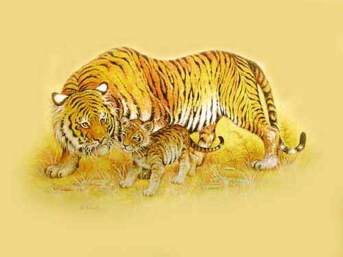 Tiger und Tigerbaby in Gold von M. Femmell Alu Bild 43x54 cm