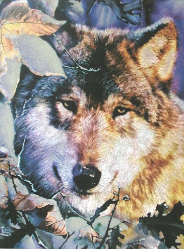 Wolf beobachtet und wartet, Czes Pachela, Dufex Alu Bild 16x21 cm