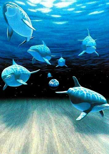 Postkarte: Geheimnisvolle Unterwasserwelt – Delfine unter der Oberfläche by William Schimmel