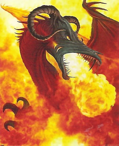 Feuerdrache Fire Dreagon Poster 40x50 cm