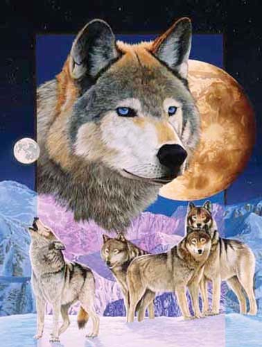 Wolfsrudel, Blauer Mond Dufex Alu Bild 16x21 cm