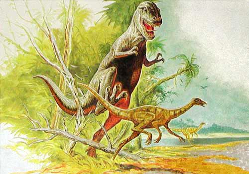 Dinos: Tyrannosaurus und Ornithomimus Dufex Postkarte