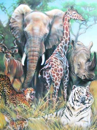 Wildtiere von Dan Mc Manis Poster 40x50 cm