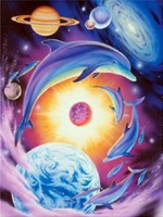 Millenium Dolphins by Meiklejohn Graphics Millenium Dolphins by Meiklejohn Graphics