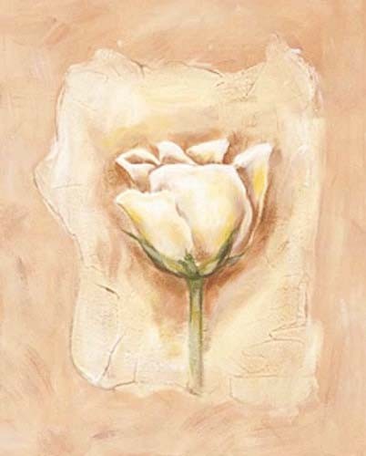 Blumen, Rose