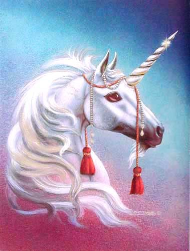 Einhorn Alu Bild