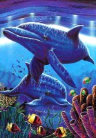 Postkarte: Ureinwohner des Meeres – Delfine am Meeresgrund Postkarte: Ureinwohner des Meeres – Delfine am Meeresgrund