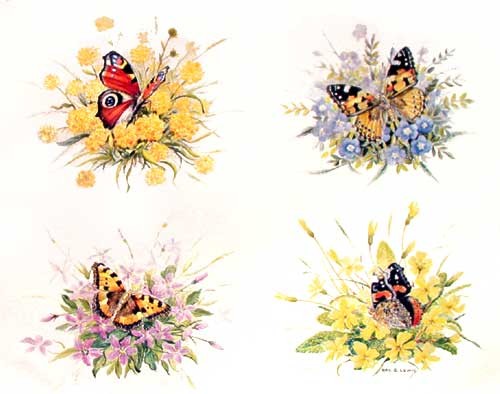 Schmetterlinge Dufex Alu-Bild 21x26 cm