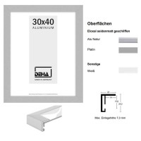 Deha Alu Bilderrahmen Profil 72, Cube20 im Format 100 x 140 cm in Champagner oder Schwarz