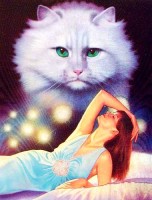 Weiße Katze Fantasy Weiße Katze Fantasy