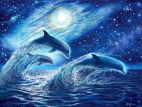 Dufex Bild 43x54 cm: Ocean Dreams – Magisches Wellenreiten bei Vollmond 