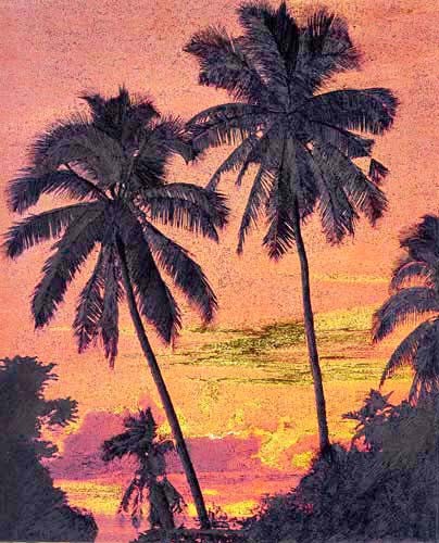 Palmen im Sonnenuntergang