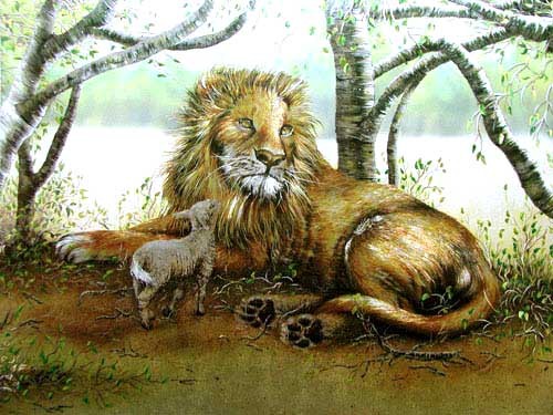 Löwe und Schaf Alubild 43x54 cm