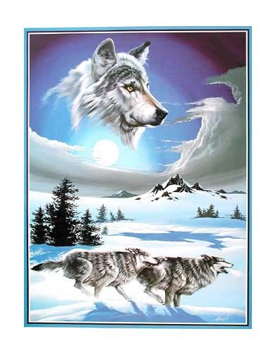 Wolfsrudel im Winter II von Gray Ampel Poster 40x50 cm