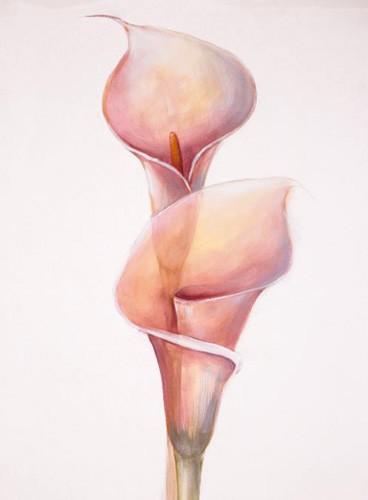 Callas Poster