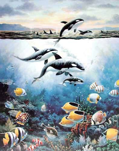 Schwertwale und tropische Fische Poster 40x50