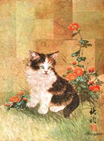 Babykatze von Chiu Aluminium Druck Babykatze von Chiu Aluminium Druck