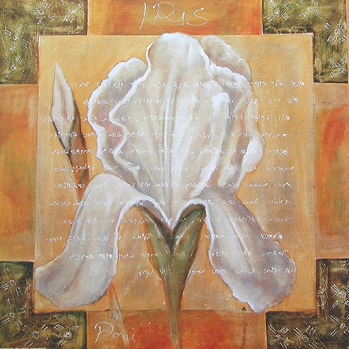 Iris Kunstdruck