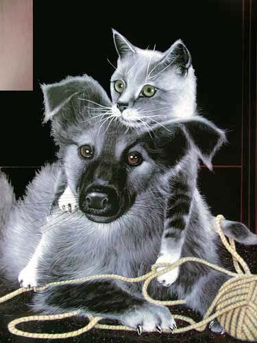 Hund und Katze mit Wolle by H. Villieres