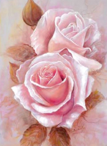Pinke Rosen Bild