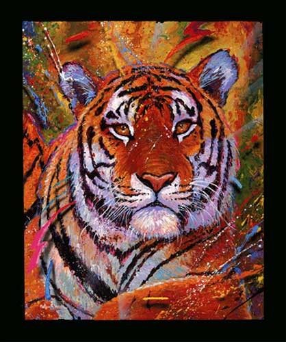Tiger von Christian Riese Lassen Poster 40x50 cm