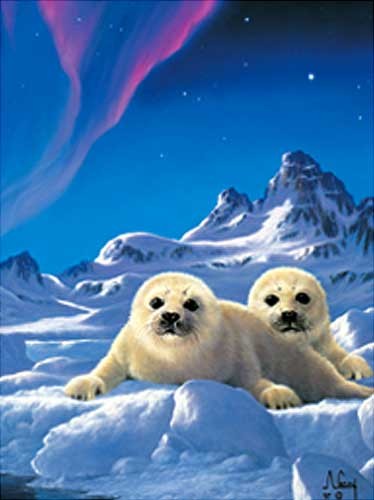 Kleine Robben unter Nordlichtern von Antony Casay Dufex Alubild 16x21 cm