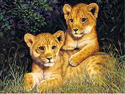 Löwenbabys Dufex Alubild 16x21 cm
