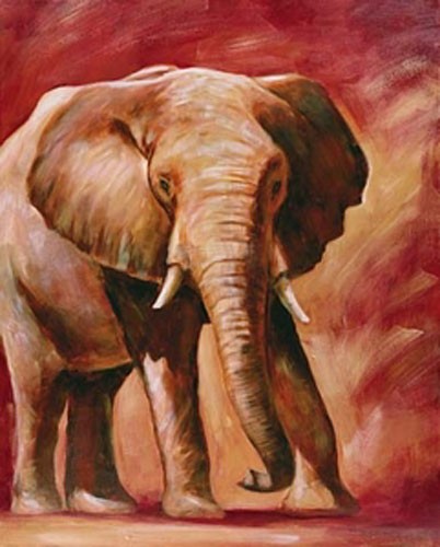 Elefant Portrait