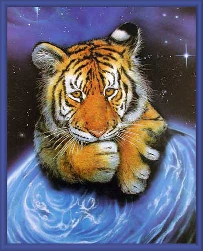 Tiger by David Ward