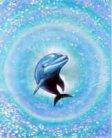 Dolphin Fantasy – Das Meer als Türkise Glitzerspirale I DUFEX Bild Dolphin Fantasy – Das Meer als Türkise Glitzerspirale I DUFEX Bild