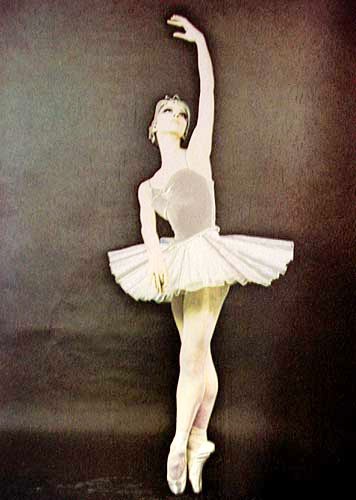 Ballerina Aluminium Druck 16x21, Einzelstück