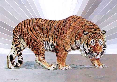 Sibirischer Tiger von William Finch Dufex Alu Bild 32x42 cm