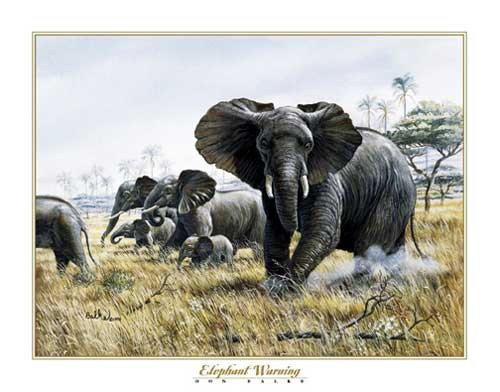 Elephant Warning, Don Balke Poster 40x50 cm