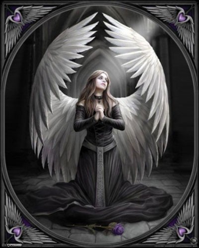 Prayer for the Fallen Poster 40x50 von Anne Stokes