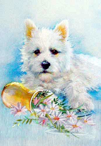 Westie mit Blumenvase- Postkarte