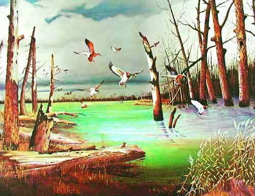Enten landen im Teich Dufex Bild 43x54 cm