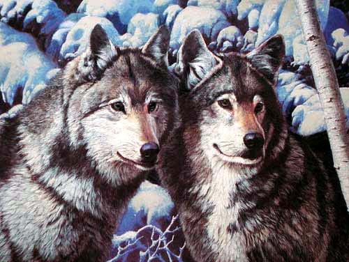 Dufex Alubild 16x21 cm: Winter Wolves by Stephen Cummins (Wölfe) 
